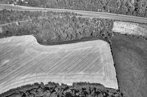 Aerial Photo of Fields and Forest 