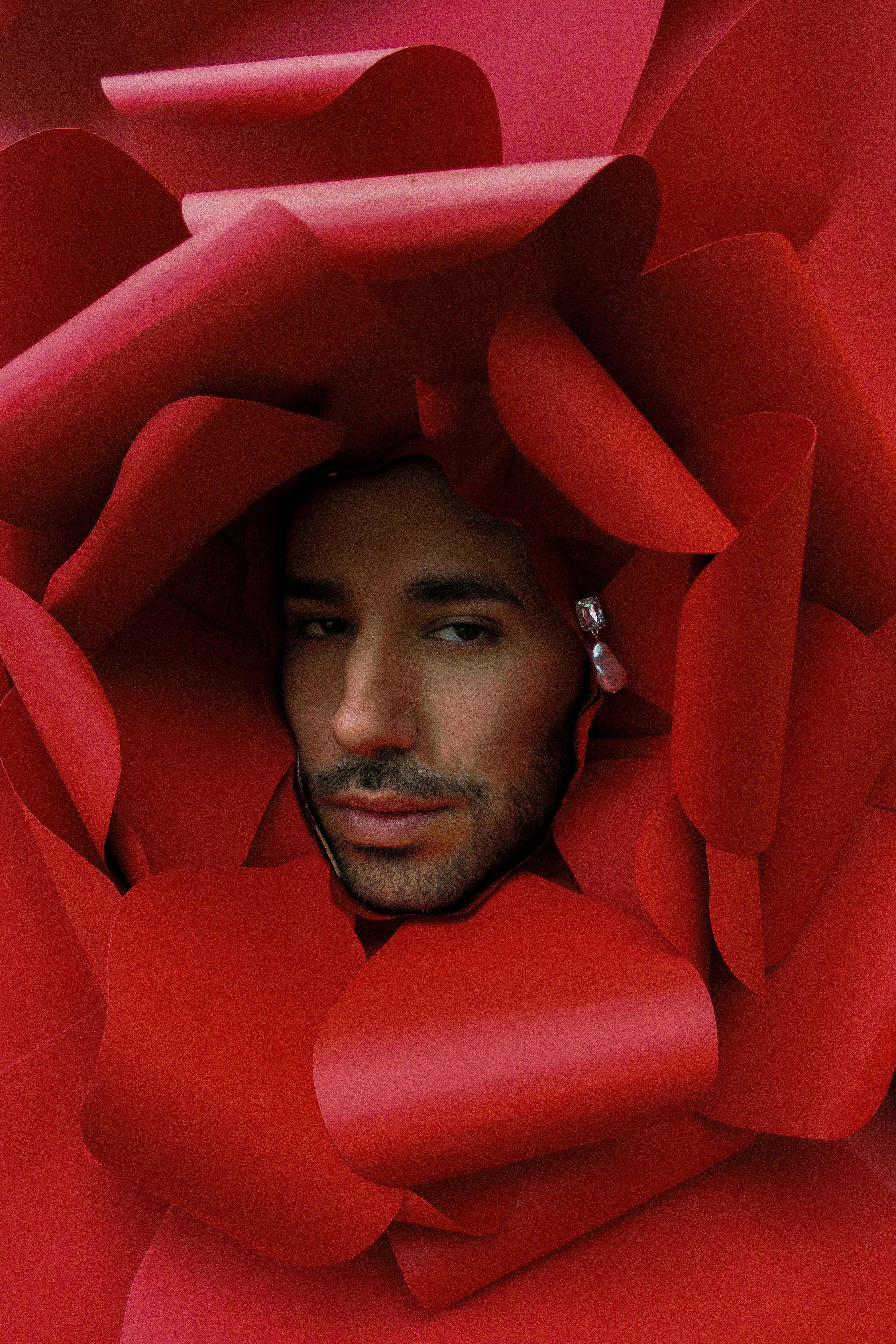 [ColoSach]-a-man's-face-emerges-artistically-through-vibrant-red-flower-petals-in-a-creative-portrait.