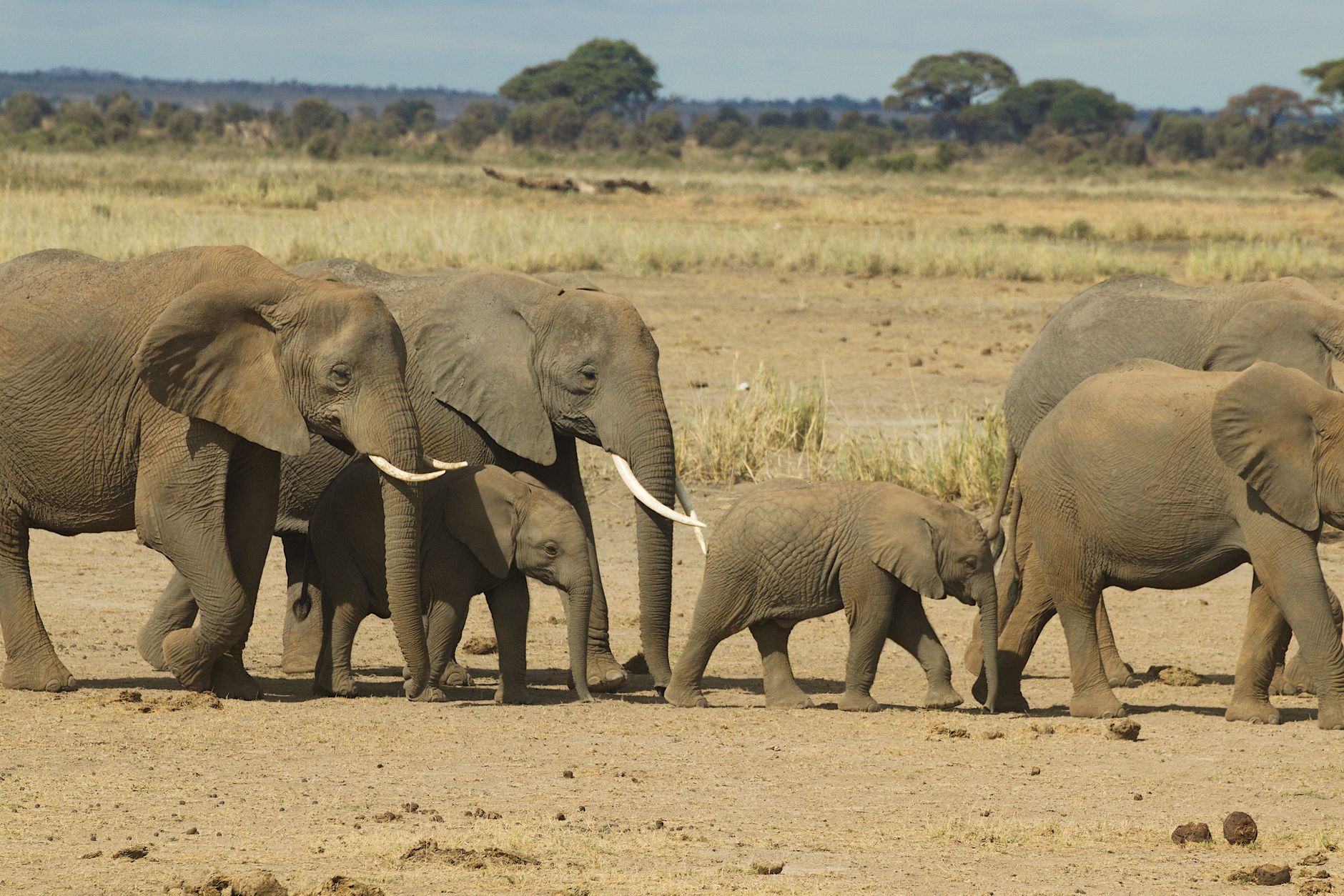 Best Family Friendly Safari Lodges in Kenya