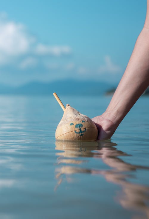 Person Holding a Toy in the Lake Water 