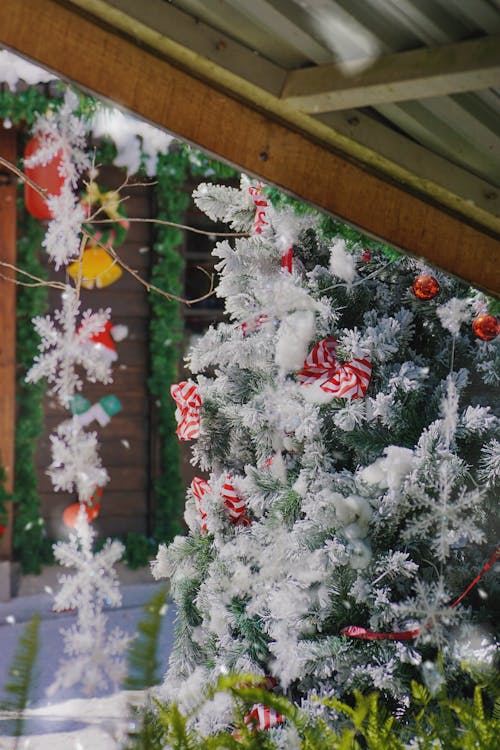 Imagine de stoc gratuită din atmosfera de crăciun, fundal de iarnă, fundaluri de crăciun