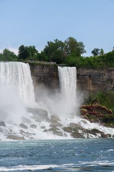 Stunning view of the powerful Niagara Falls cascading amidst lush greenery.