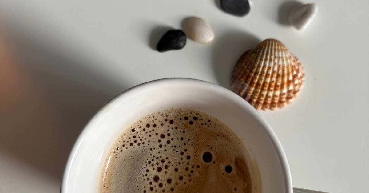 Top View of Coffee, Rocks and Shells · Free Stock Photo