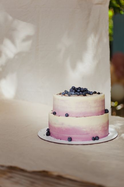 Delicious two-tier blueberry cake with ombre icing perfect for celebrations.