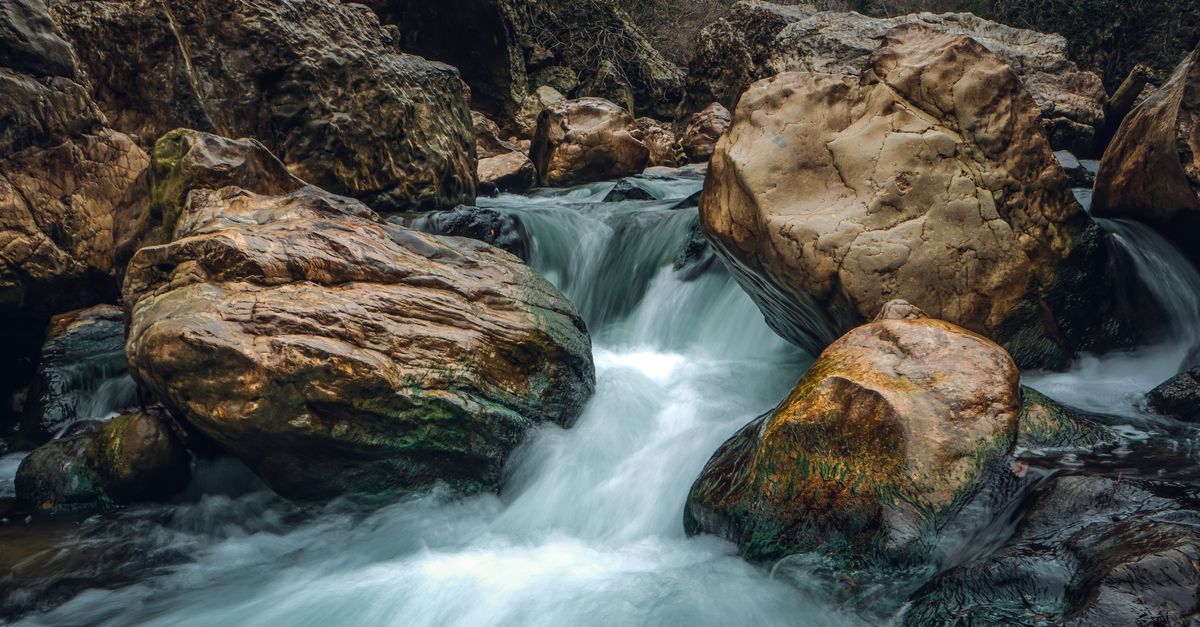 Fluid Adaptability