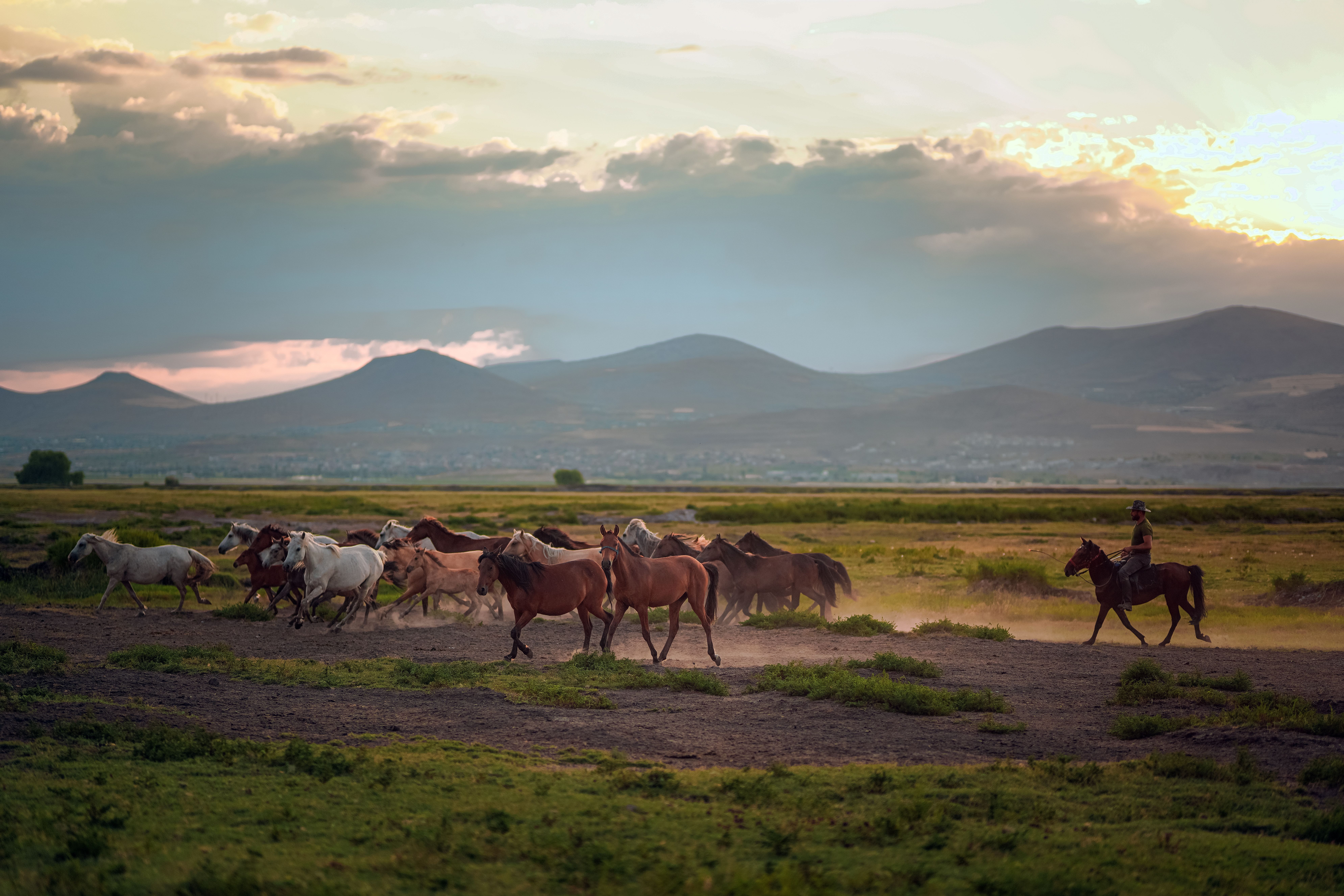 Türkiye’s population prefers Western lifestyle, survey shows — Photo by Osman Arabacı on Pexels