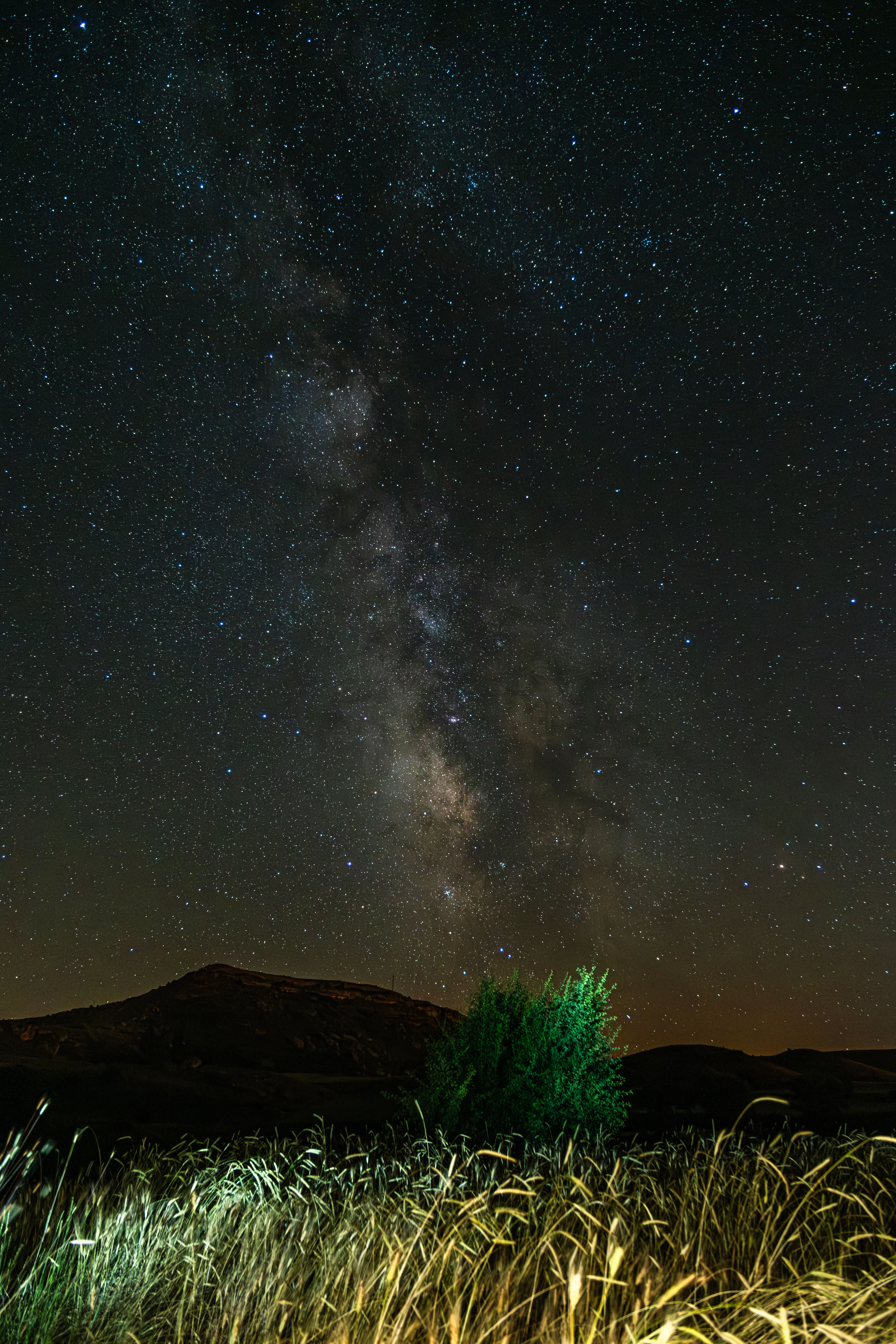 Stars on Clear, Night Sky · Free Stock Photo