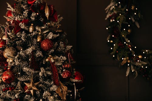 慶祝, 燈光, 聖誕樹 的 免费素材图片
