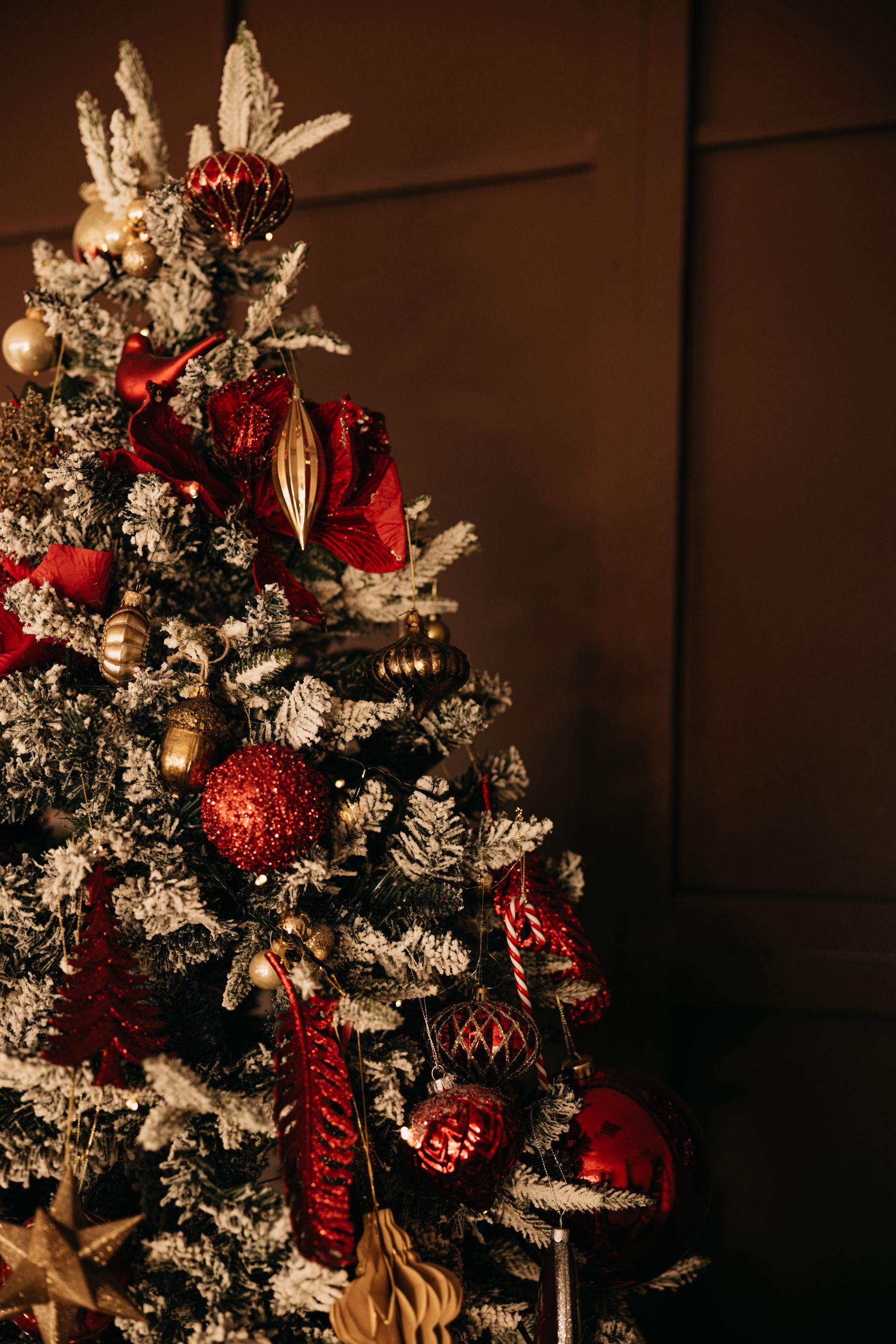 Christmas tree with red and gold ornaments spaced through visible green branches