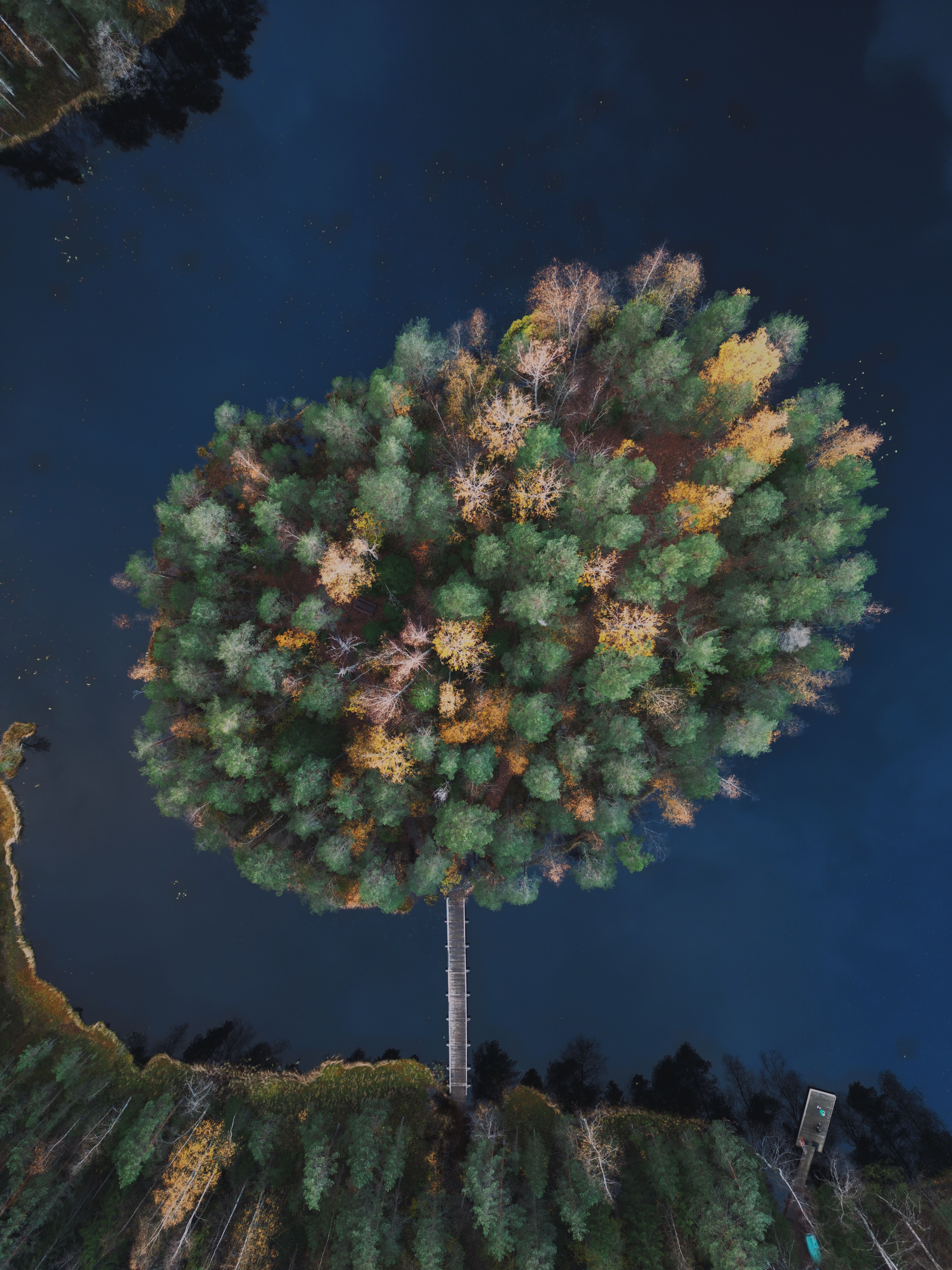 Gratis Immagine gratuita di acqua, acqua azzurra, alberi Foto a disposizione