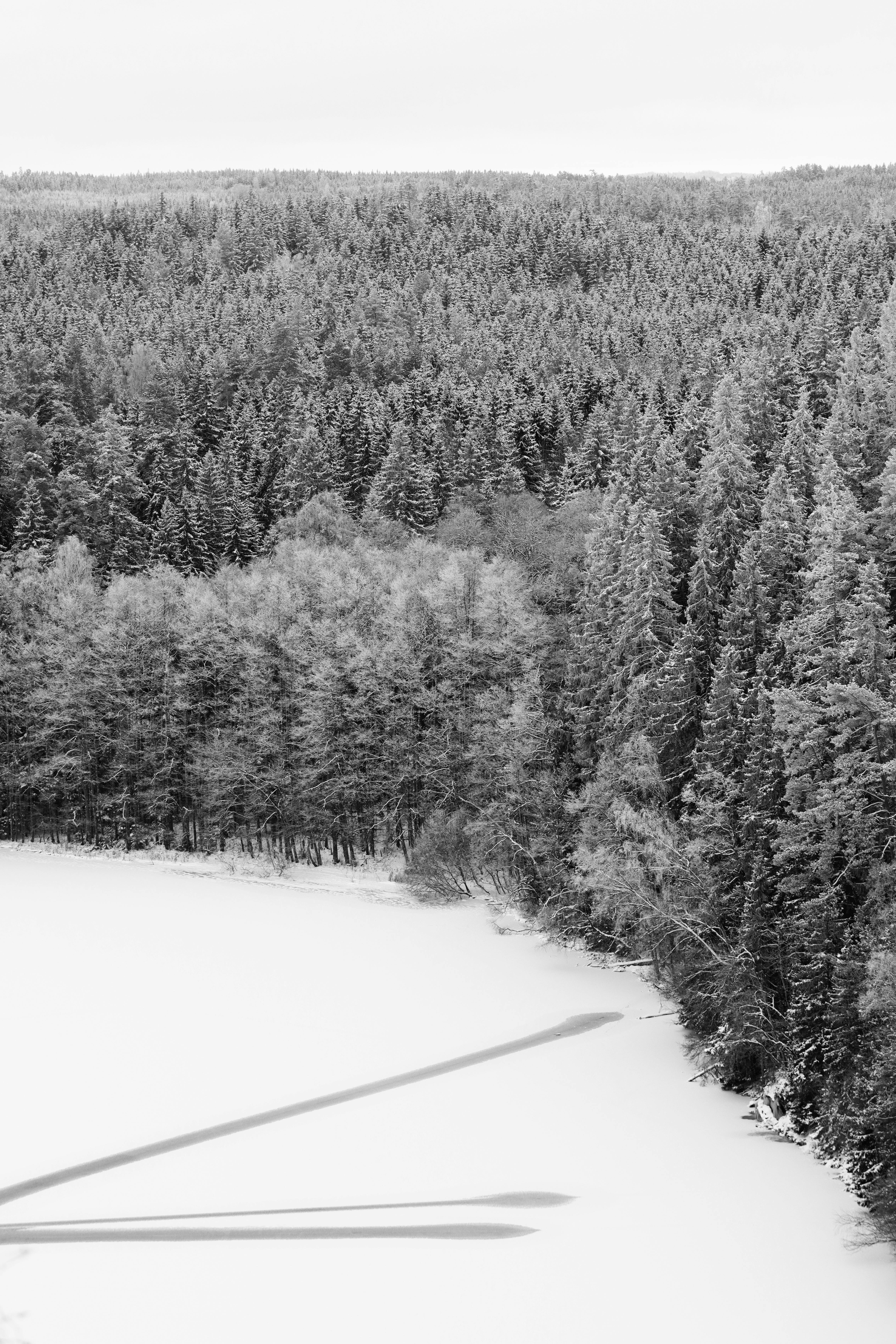 Kostenlos Kostenloses Stock Foto zu 2023, arktis, arktische landschaft Stock-Foto