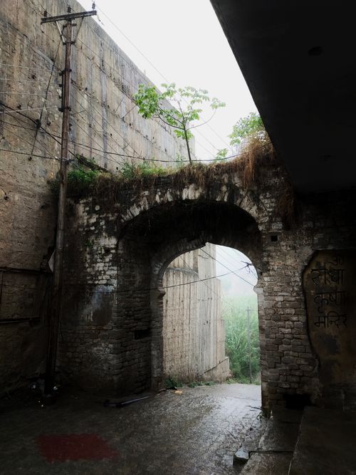 Free Atmospheric misty archway amidst overgrown vegetation in Una, Himachal Pradesh, India. Stock Photo