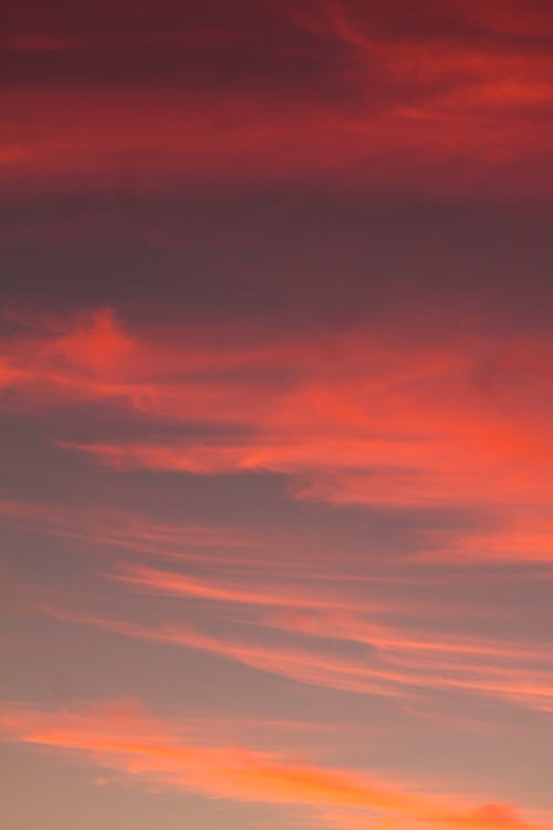 View of a Sunset Sky with Pink Clouds 