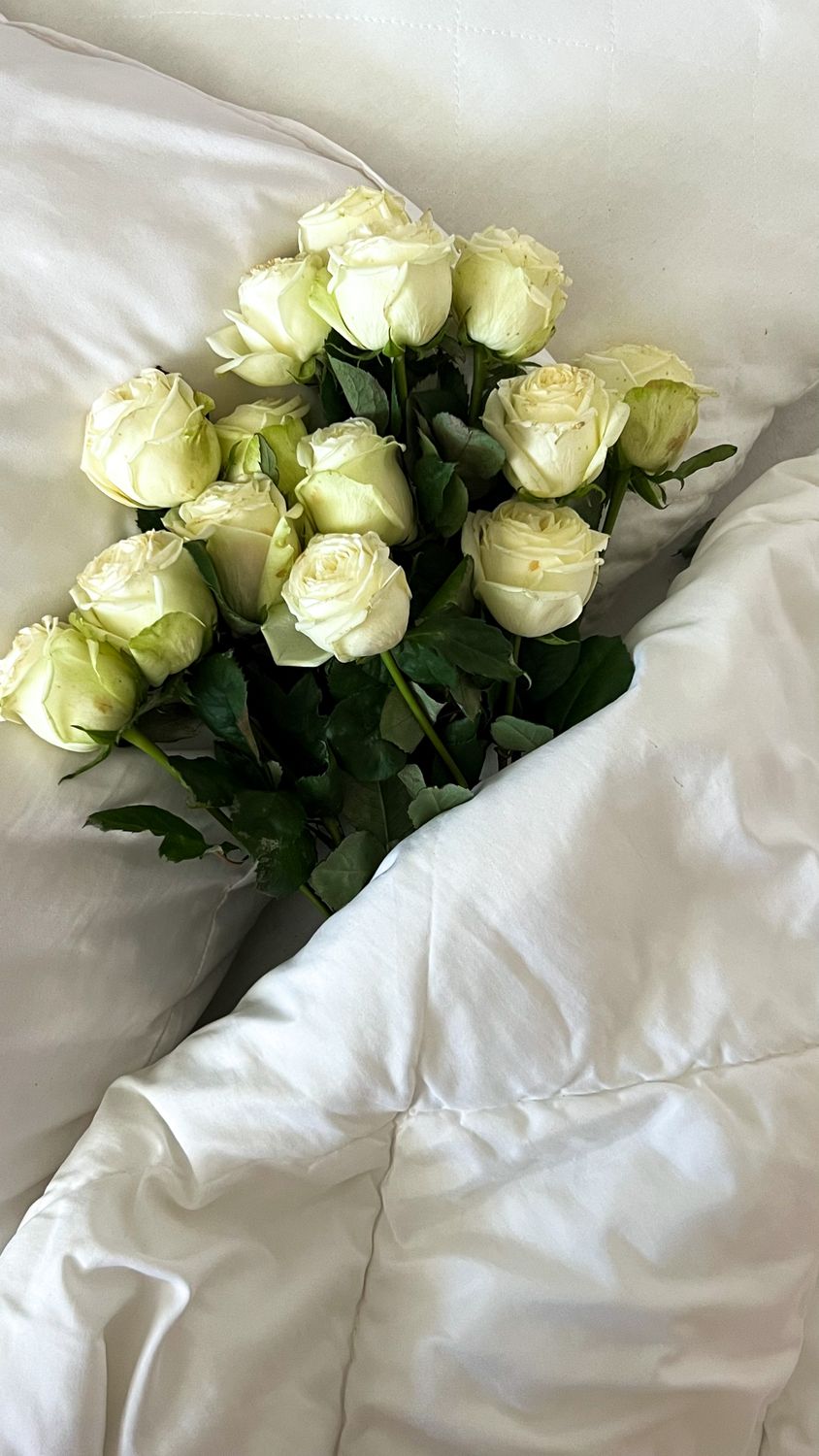 Roses in a Bed · Free Stock Photo