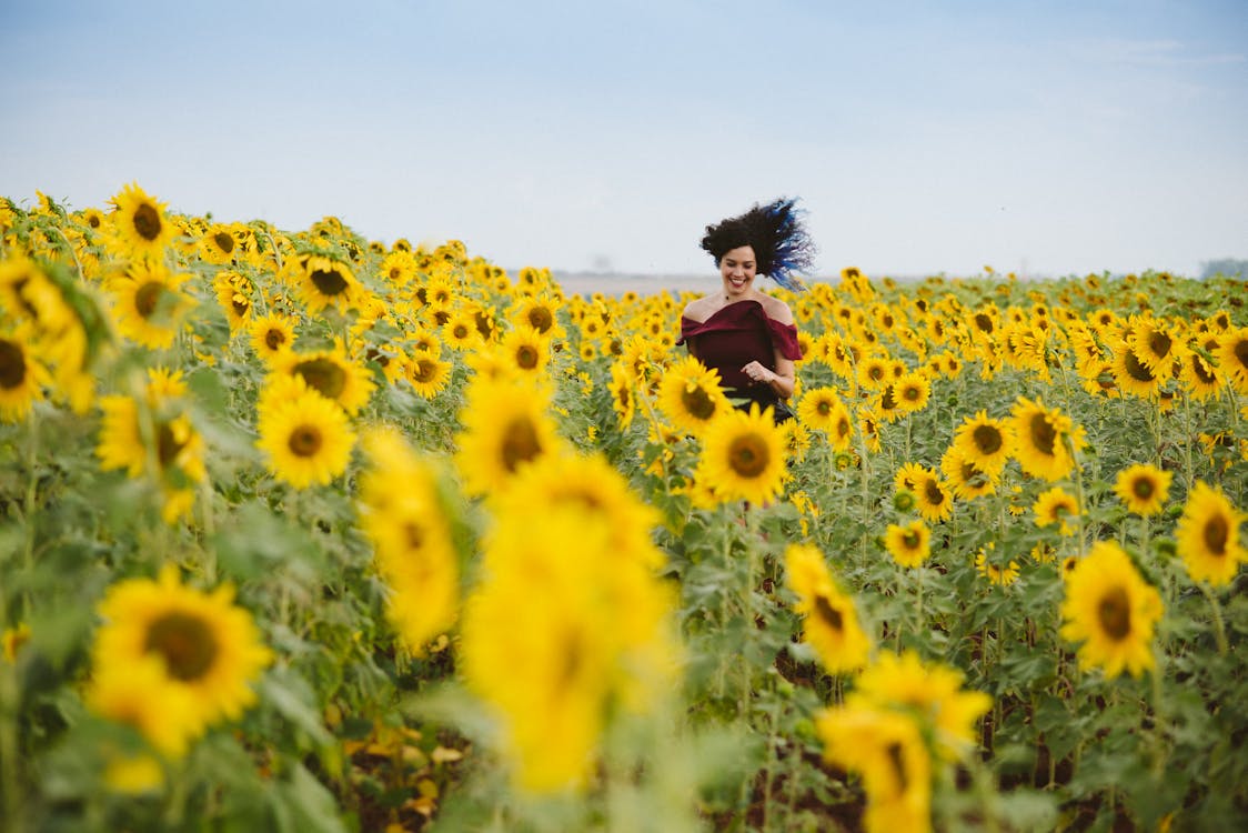 無料 ひまわり畑で笑っている女性の写真 写真素材