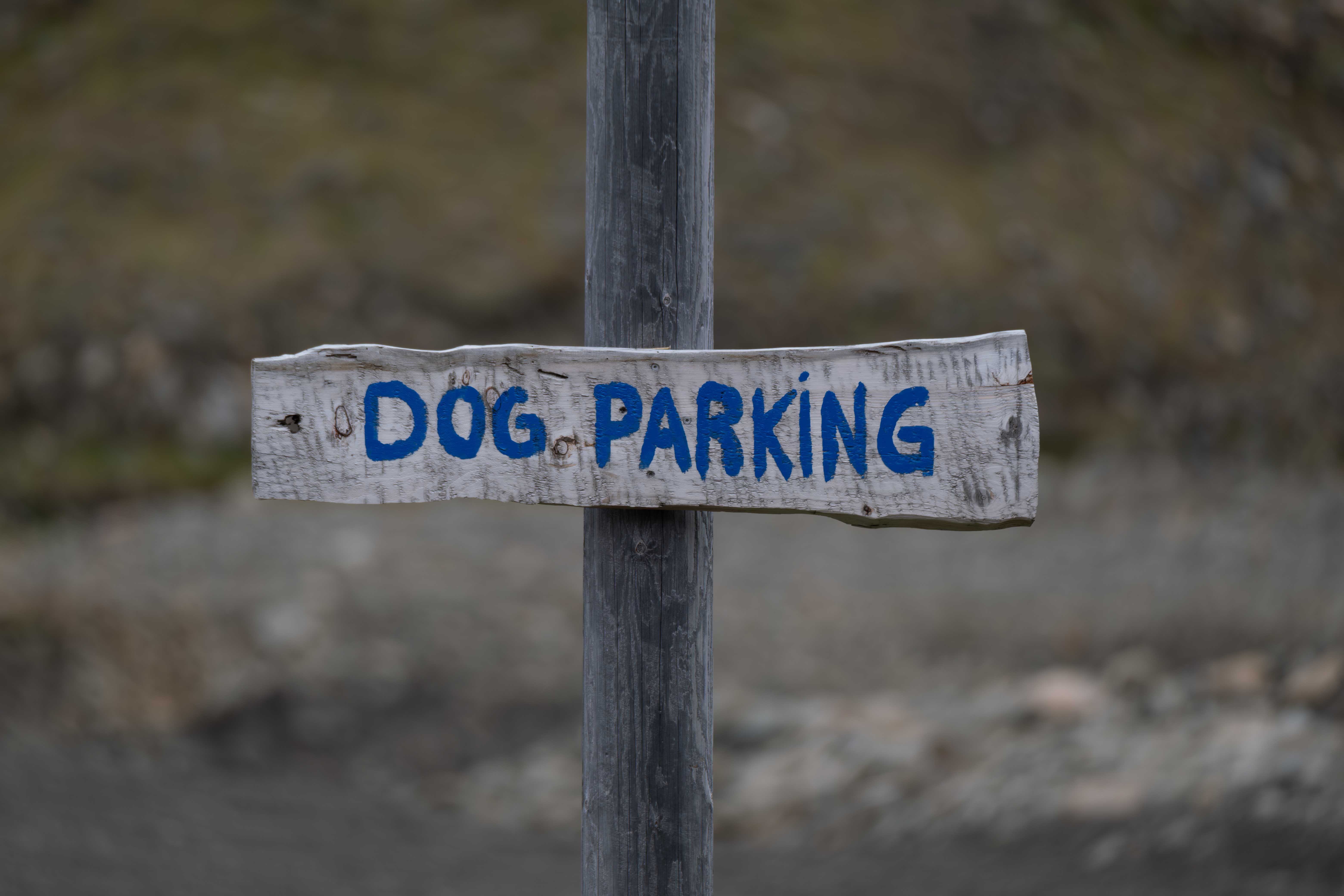 Photo of an Information Sign · Free Stock Photo