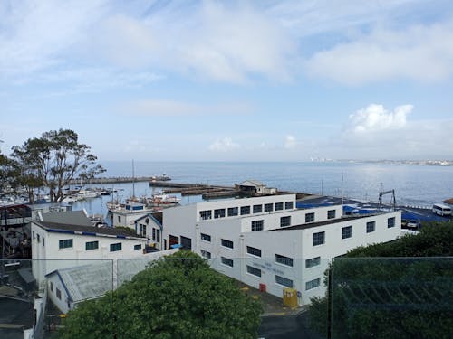 바다 위, 바다 항구, 보트의 무료 스톡 사진