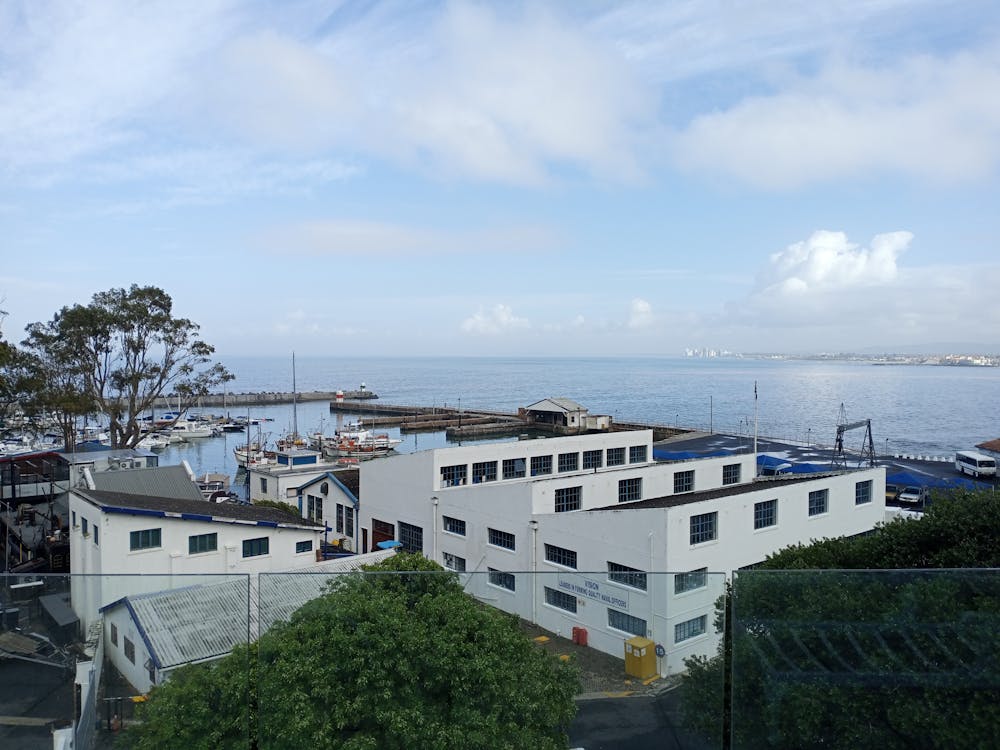 View across the harbour