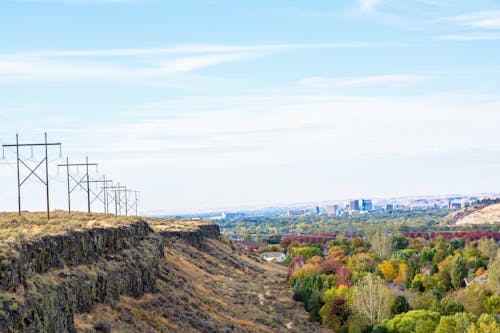 City and Nature