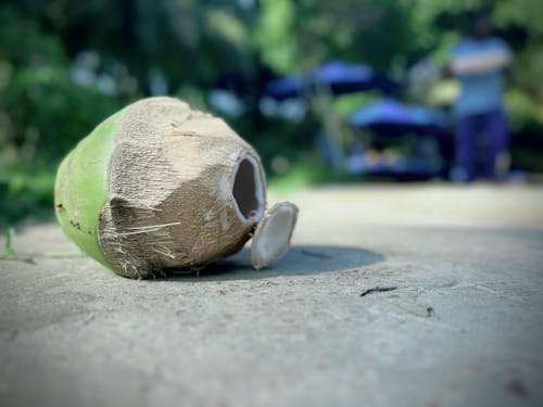 Coconut on the beach