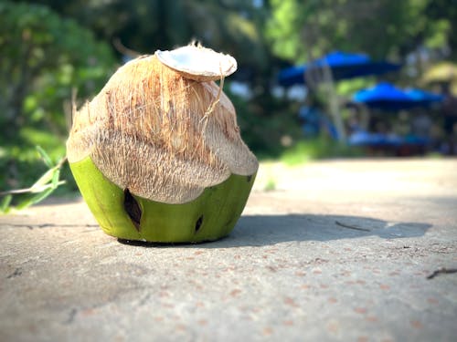 Coconut by the beach 