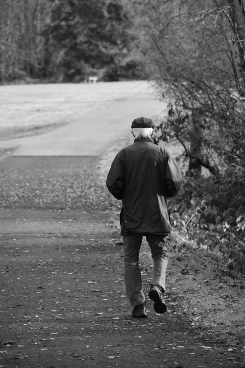 Free Elderly man walking alone on a peaceful forest path in black and white. Stock Photo