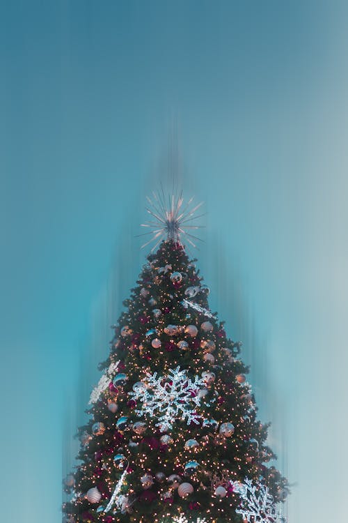 Free stock photo of christmas atmosphere, christmass tree, cinemagraphy