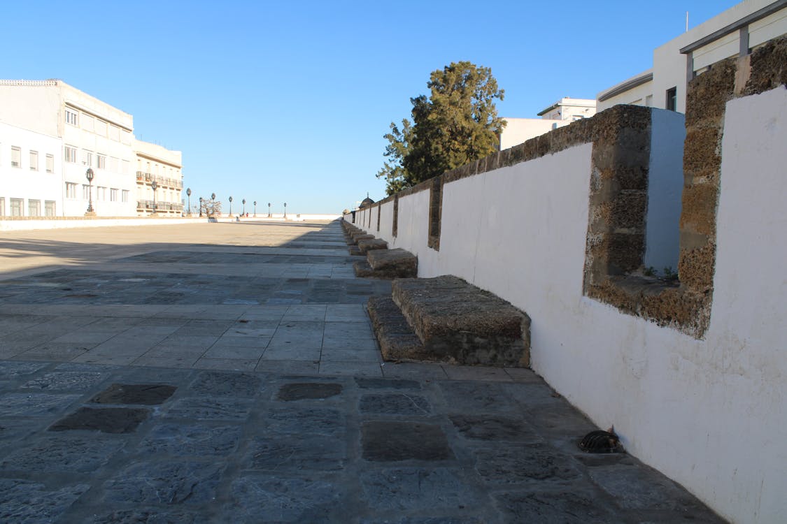 baluarte y murallas de San Carlos en Cádiz - fotografía 7