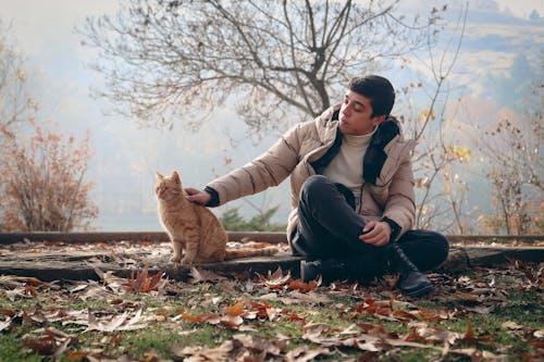 A Person Petting a Cat Outdoors