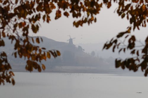 Kostenloses Stock Foto zu herbst, malatya