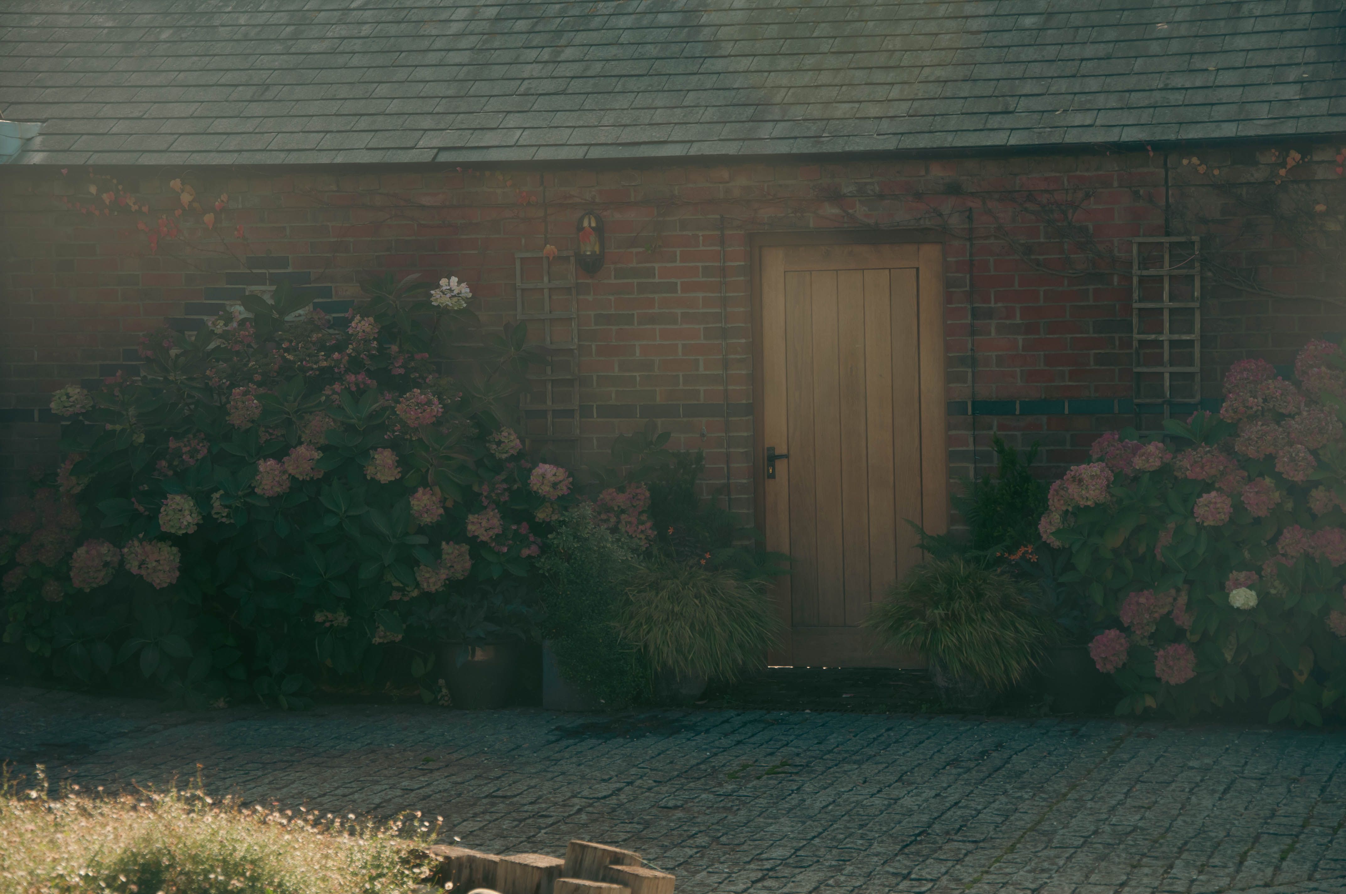 Inside Voysey House – the archival home of Sanderson Design Group — Photo by Smirnova Martina on Pexels