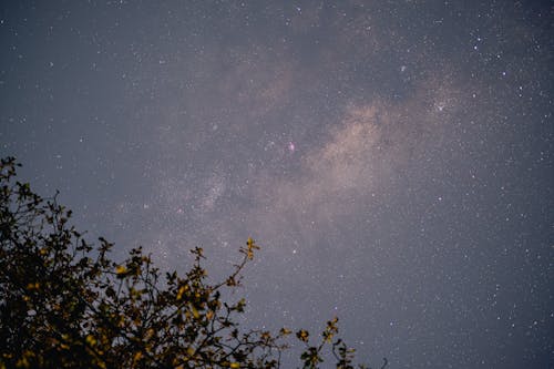 Foto d'estoc gratuïta de astronomia, camp estrella, capvespre