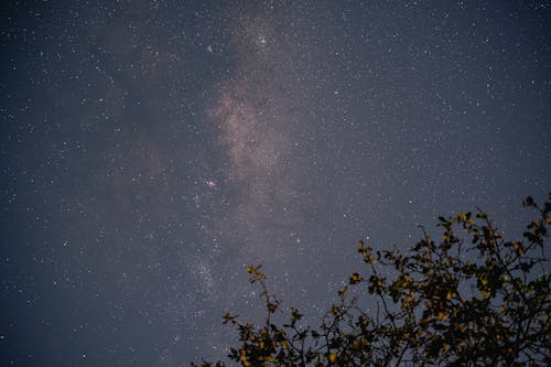 Gratis stockfoto met astronomie, Melkweg, mooi uitzicht