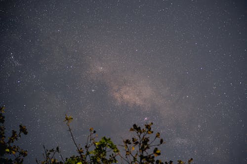 Foto d'estoc gratuïta de astronomia, camp estrella, capvespre