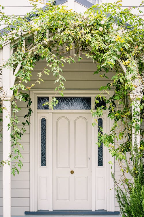 Ivy on an Entrance to a House 