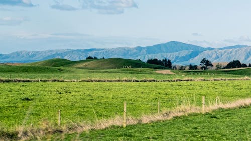 Mountain Range seen from Green Agricultural Fields