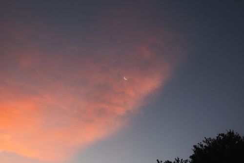 Free A beautiful crescent moon peeking through colorful clouds at sunset over Sydney, Australia. Stock Photo