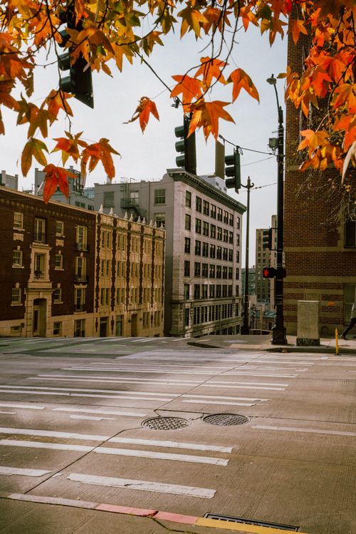 Free Urban autumn scene with red leaves and city architecture under clear skies. Stock Photo