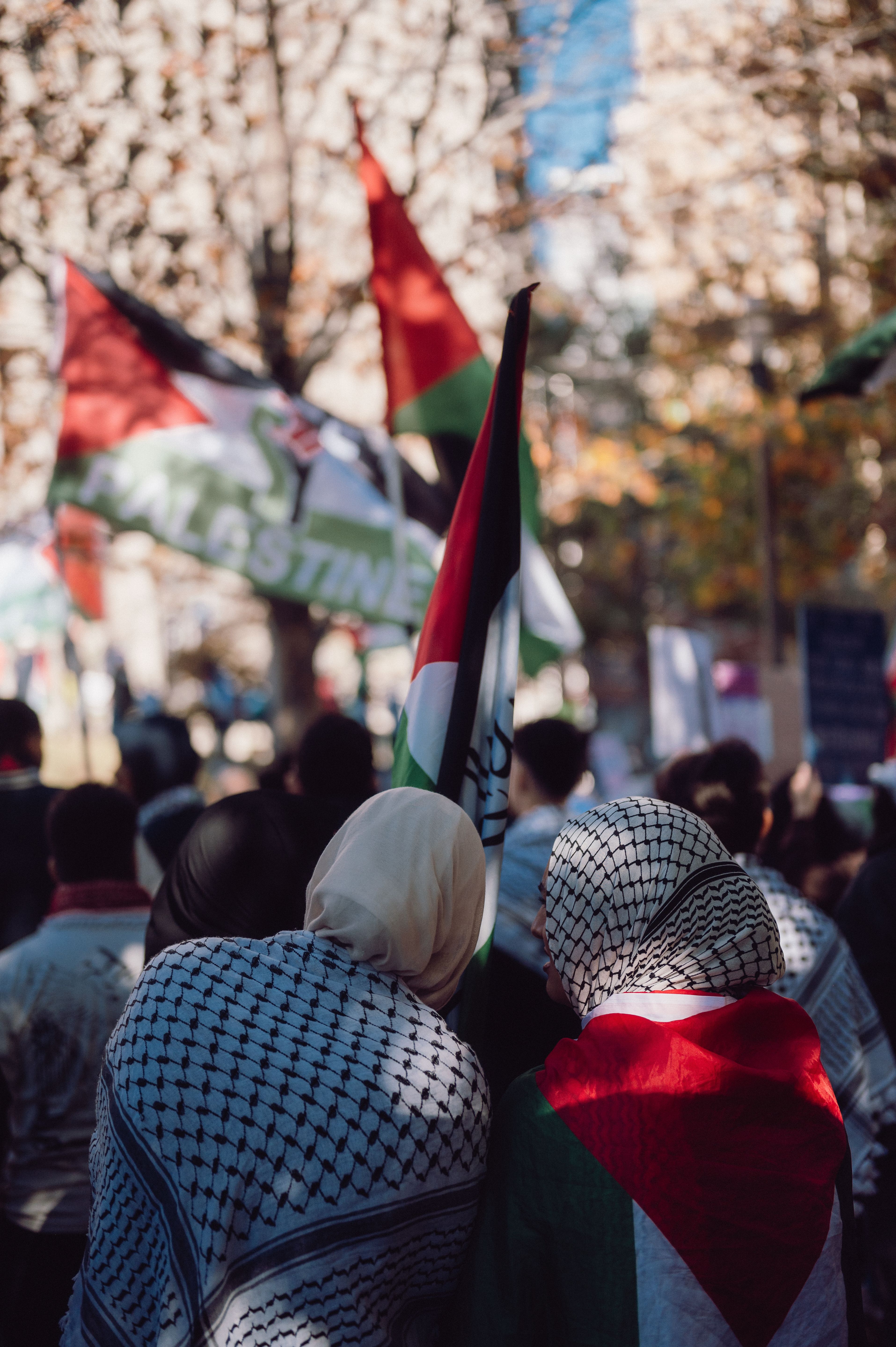 Restaurante palestino em Nova York exclui Israel de mapa em cardápio e reforça mensagem política