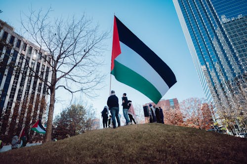Darmowe zdjęcie z galerii z flaga palestyny, ludzie, manifestacja