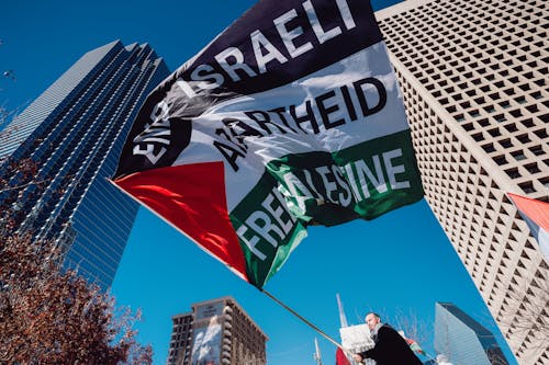 Darmowe zdjęcie z galerii z demonstracja, falowanie, flaga palestyńska