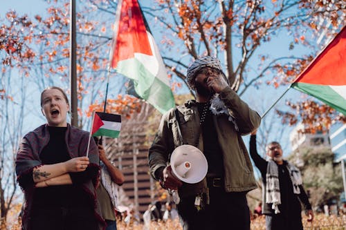 Darmowe zdjęcie z galerii z chodzenie, demonstracja, flagi palestyńskie