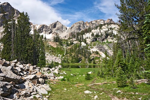 Foto profissional grátis de árvores, cadeia de montanhas, cênico