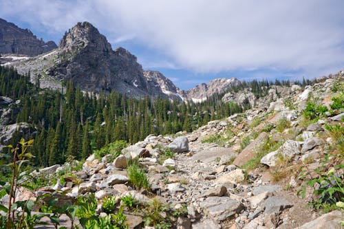 Kostenloses Stock Foto zu bäume, berge, felsen