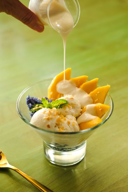Unleashing Versatility with the NutraChef Immersion Blender
