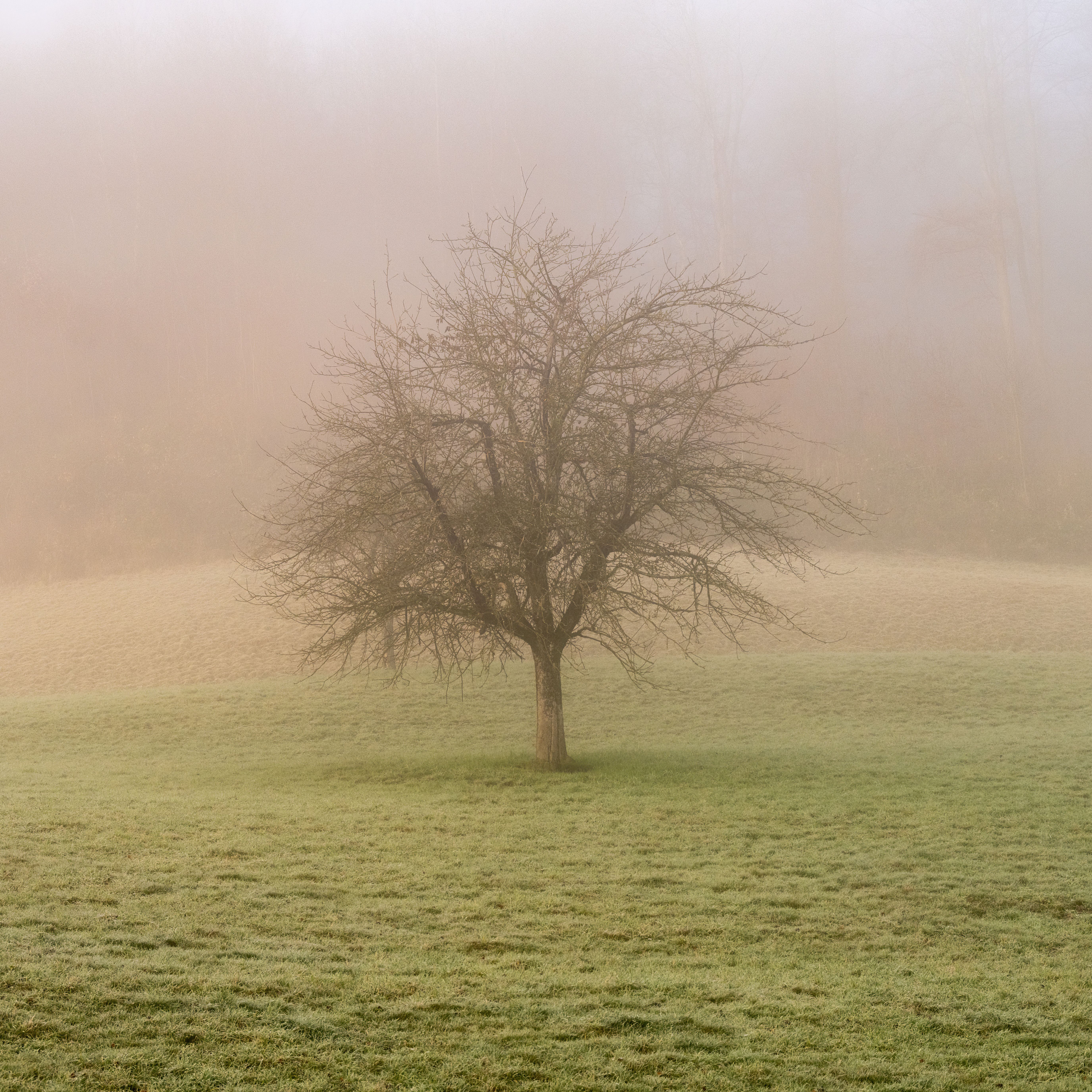 STRIKE ME QUIET cover art — photo by Thomas P on Pexels