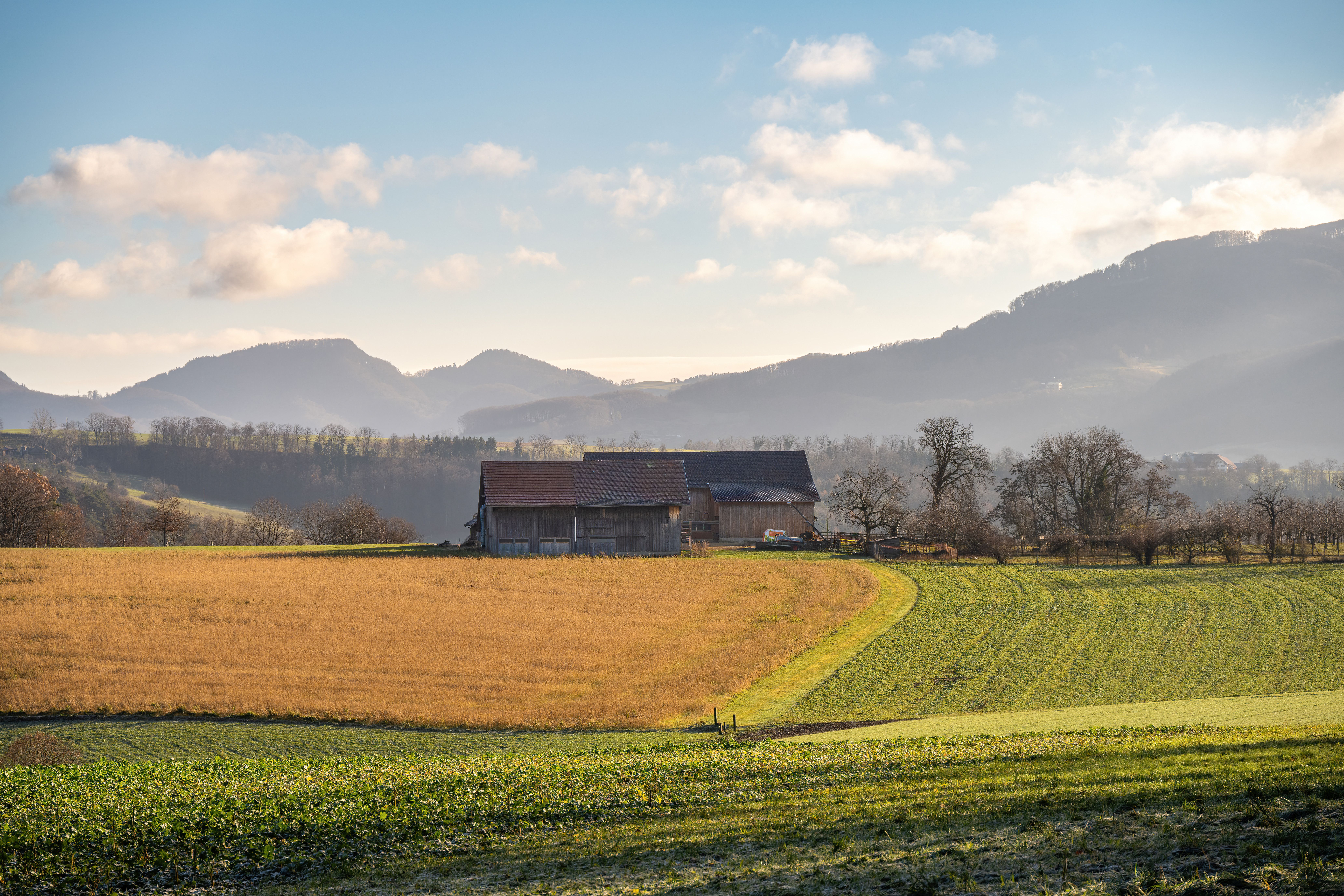 A barn and open fields