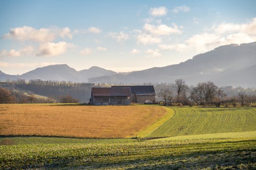 Barn by Fields in Countryside