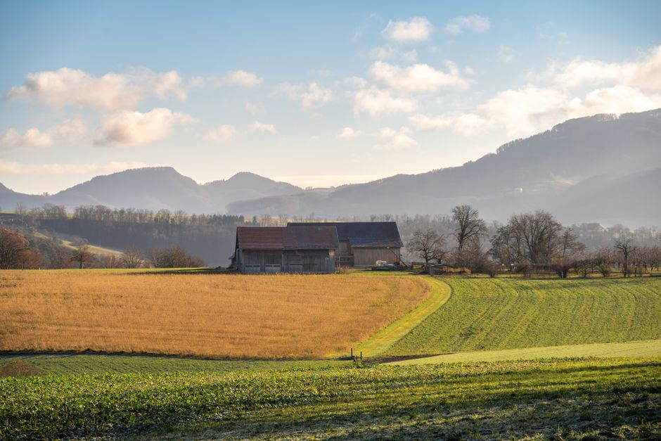 A barn and open fields