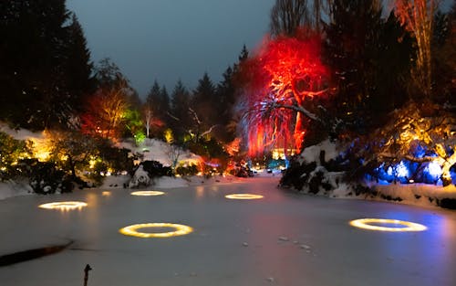 Light Rings in Frozen Pond